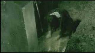 Neurosonic - "Are Solar" bodogMUSIC