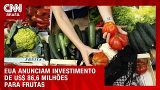 Vídeo: EUA anunciam investimento de US$ 86,6 milhões para frutas e hortaliças | CNN AGRO NEWS
