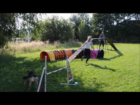 Agility trénink Málkov 18.8.2016