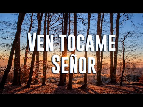 Ven tocame Señor - Pablo Pavon LETRA