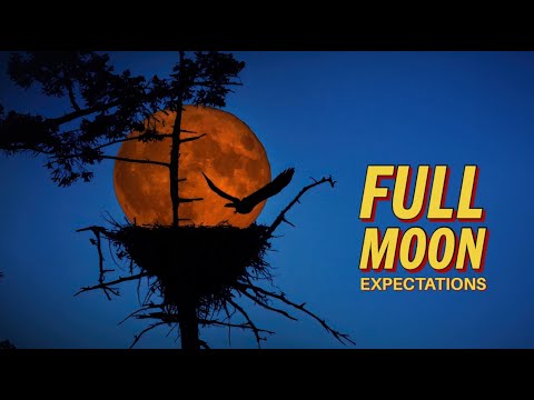 MOON PHOTOGRAPHY from a mountain top - Night photography using the Nikon Z9
