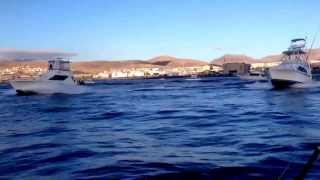 preview picture of video 'Big Game Fishing Tournament Puerto del Rosario Fuerteventura 2013 #2'