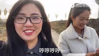 悦悦第三次来宁夏灵武，刚到就急着看果园，去仓库看质量