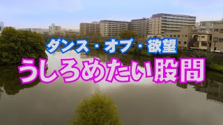 OP PICTURES 2025年8月15日(金)より公開! 渡邊組 予告