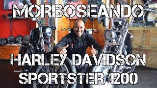 MORBOSEANDO HARLEY DAVIDSON SPORTSTER 1200 #FULLGASS