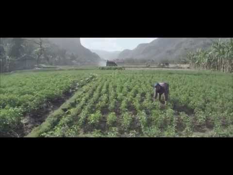 Marzuki - Video Musik BagaikanAir