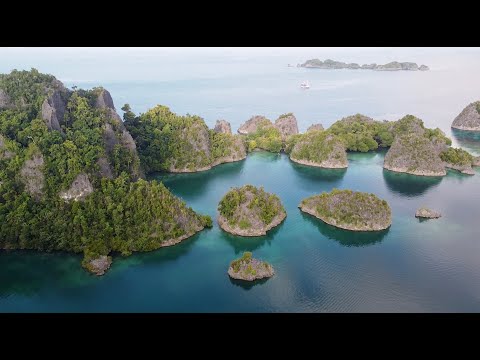 RAJA AMPAT 2023