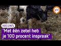 Opvallend veel Achterhoekse stemmen naar BoerenBurgerBeweging