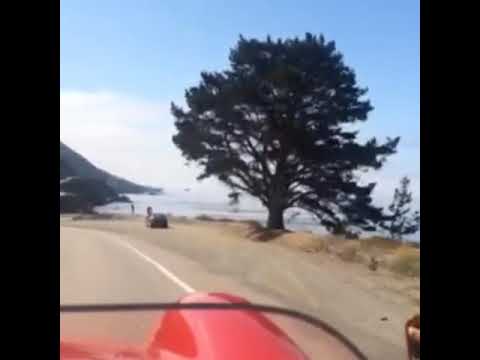 Thumbnail for Ferrari 250 TR in California by Ferrari, Ferrari 250