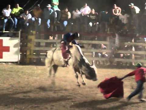 Toro El Palenque (Rancho Copal)-Herbert Matarrita