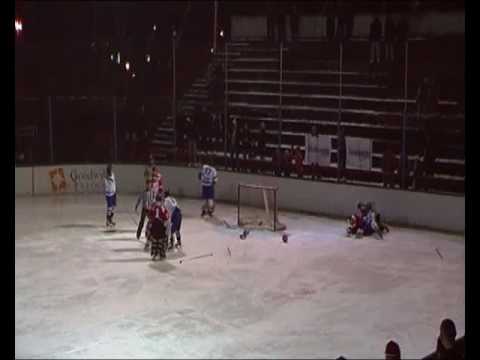 Tuča HK SPARTAK : CRVENA ZVEZDA....  hokej na ledu