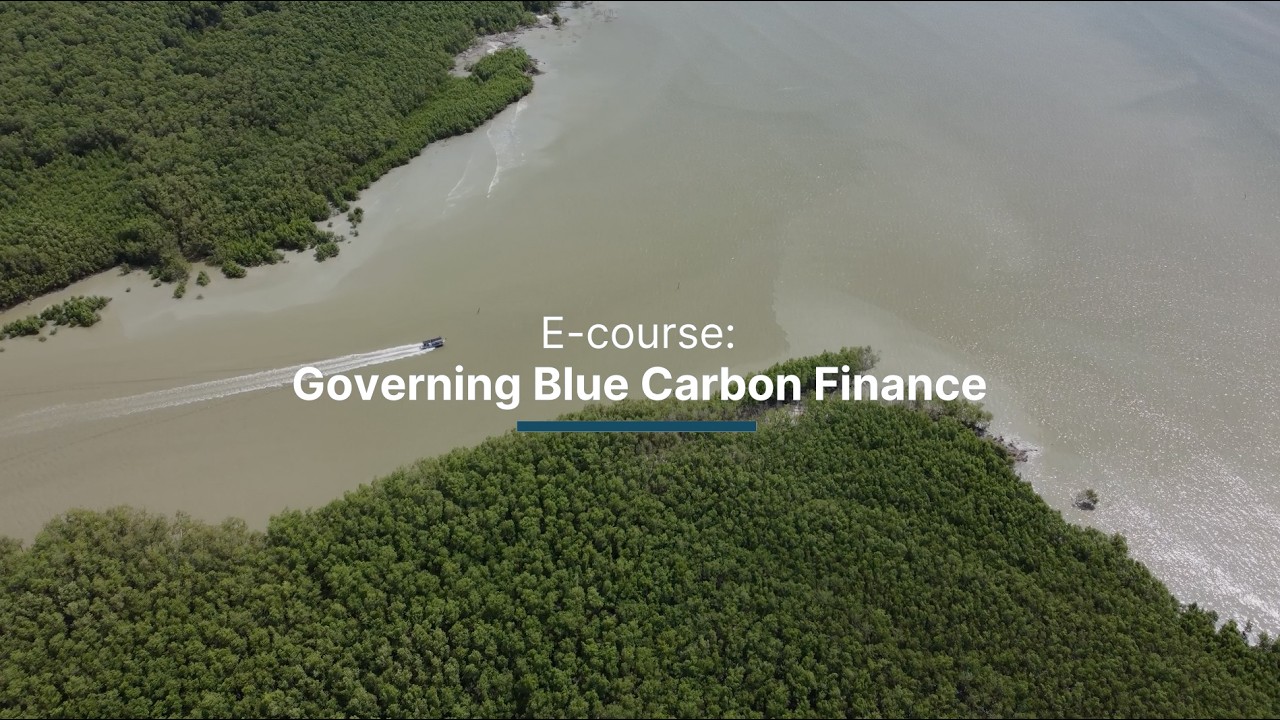 Governing Blue Carbon Mangrove Finance