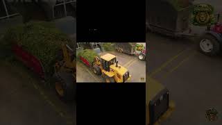 Industrial Scale  Massive Machinery Harvesting Cro #wildlife #shorts #short #shortvideo