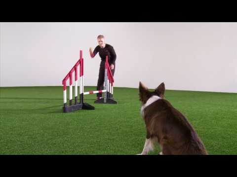 OneMind Dogs Agility Handling Technique - German Turn