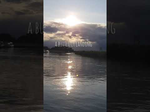 Restless - Tiff Lacey and Perpetual Lyric Video InShot 20210816 2203424691