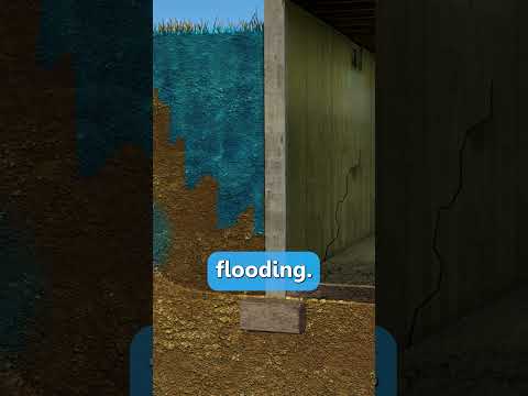Signs of Basement Water Damage