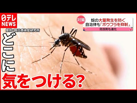 蚊はどのように繁殖するのでしょうか?