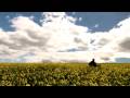 Andy Lund - Fall From Grace 