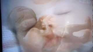 Let Me Live - The Unborn Child's Song by Pat Boone