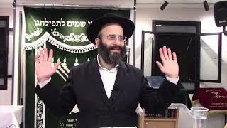 דיני חול המועד