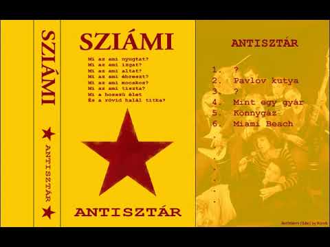 04 Sziámi Mint egy gyár