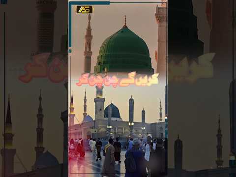 Har Ik Gulam Ka Charah Houzor Jante Hain | Syed Arsalan Shah Qadri |#short  #madinah #madina #viral