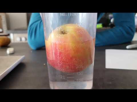 Die Dichte - experimentelle Bestimmung