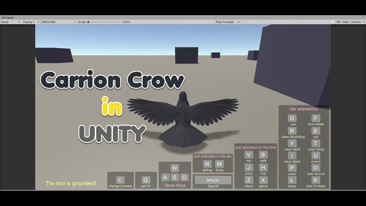 Corvo Carniceiro Animado Realista Modelo 3D