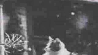 nirvana- gallons of rubbing alcohol flow through the strip