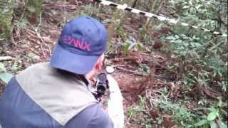 preview picture of video 'Evanix Field Target 3 Tiros e alvos derrubados.'