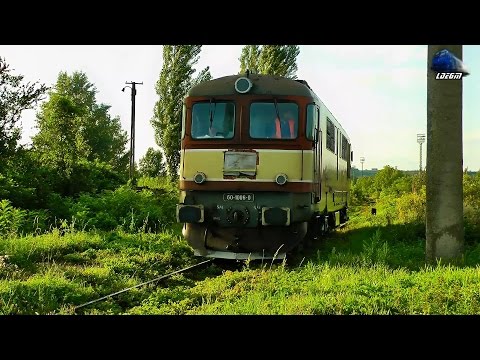 Fluieroasa/Whistle Loco 60-1006-0 Merge la Alimentat/Going at Fueled in Baile Felix