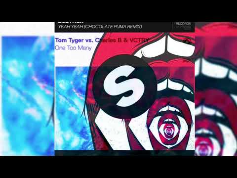 Bodyrox Vs Tom Tyger vs. Charles B & VCTRY - Yeah Yeah Vs One Too Many (Brooks Mashup)(MLGRX Remake)