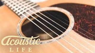 Video thumbnail for Ernie Ball Aluminum Bronze Strings Review by Tony Polecastro