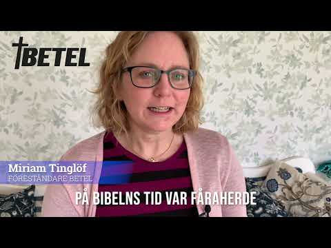 Andakt   den gode herden