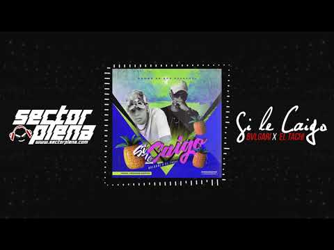 Bvlgari Ft El Tachi - Si Le Caigo (Audio)