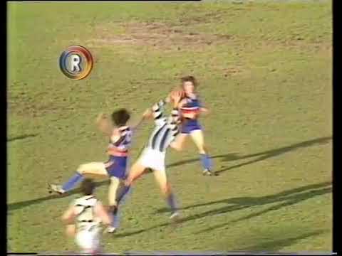 Footscray v North Melbourne 1981 R17