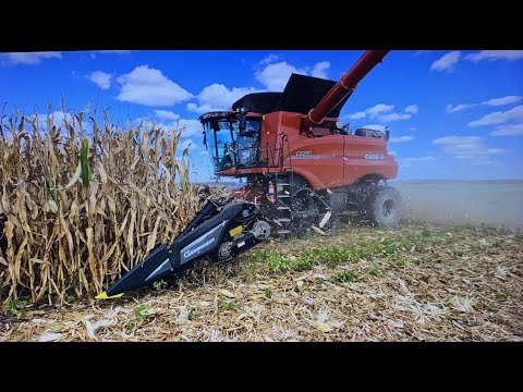 Harvesting Pumpkins, White Corn and Soybeans While Speed Tilling and Got Another New Combine S3 E32