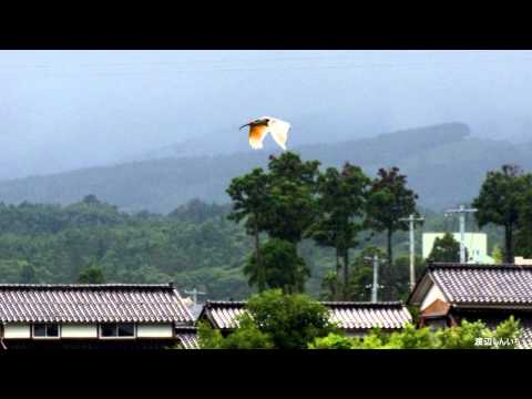 Takashi Yoshimatsu [吉松 隆]: Threnody to Toki, for string orchestra and piano, Op. 12