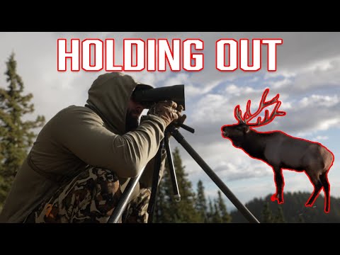 BACKCOUNTRY ELK HUNT (Horse Drop Camp)