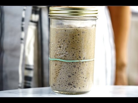 download lagu mp3 mp4 Rye Bread Starter Recipe, download lagu Rye Bread Starter Recipe gratis, unduh video klip Rye Bread Starter Recipe