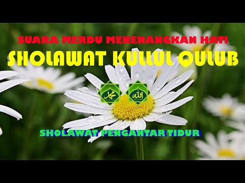 SHOLAWAT KULLUL QULUB TEKS DAN TERJEMAHANNYA MERDU DAN MENENANGKAN HATI  FULL 1 JAM