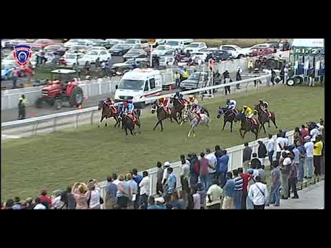 RM27 R7 | Captain Falcon | O.Plaçais