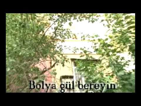 JT & L$R Gownumde arzuwym 