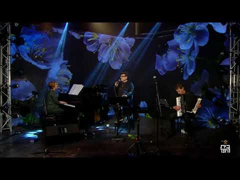 Gila Hassid -mama yo no tengo visto+arvolikos d'almendra