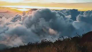 Download lagu story wa pendaki Gunung Sumbing mp3 Download lagu story wa pendaki Gunung Sumbing mp3