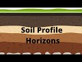 Soil Profile And Soil Horizons