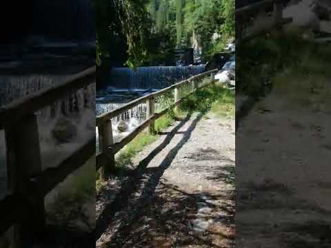 Folgarida passeggiata nel bosco