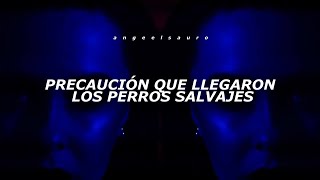 Perros Salvajes - Daddy Yankee (Letra)