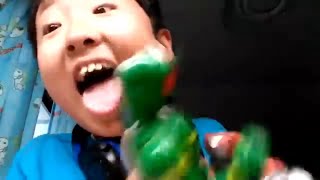 【瞬殺のコルバルト】 まとめ完全版