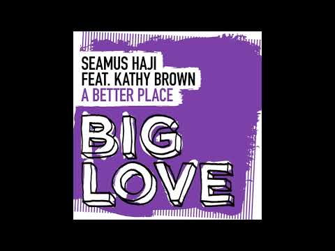 Seamus Haji feat. Kathy Brown - A Better Place